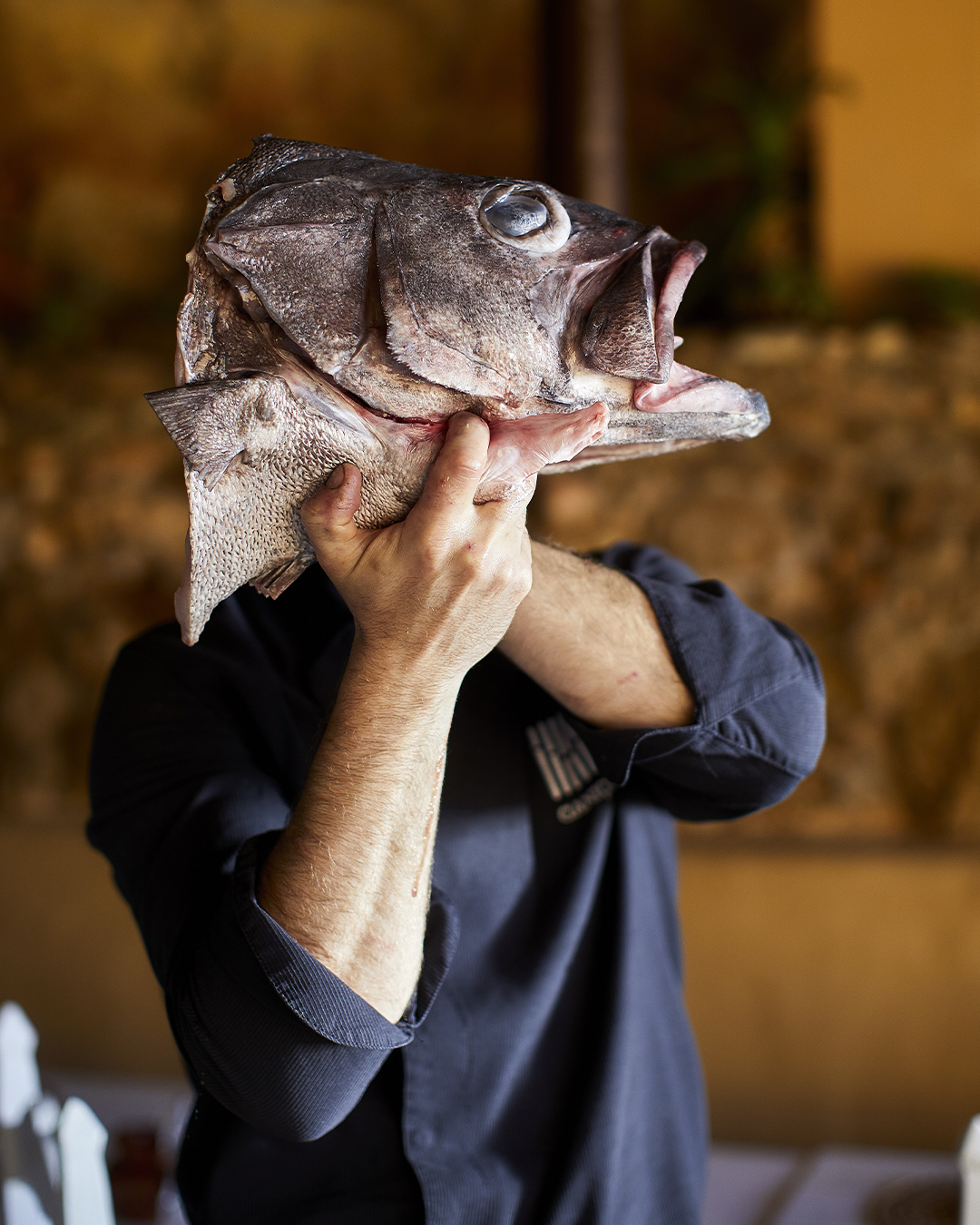 : Um cozinheiro segura com as duas mãos a cabeça de um peixe grande e fresco, escondendo o rosto atrás dela.